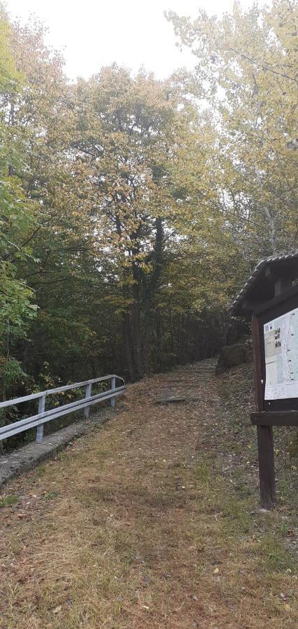 A Casa Di Lara Panzió Beura Kültér fotó